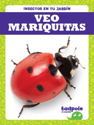 cover image of Veo mariquitas (I See Ladybugs)
